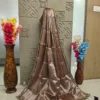 Taupe Brown Satin Saree with Black Sequin Border