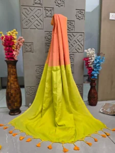 Peach and Lime Green Dual-Tone Saree with Tassel Border