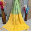 Mint Green and Yellow Dual-Tone Saree with Tassel Border