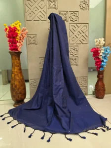 Navy Blue Sequin Saree with Tassel Border