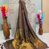 Chocolate Brown Saree with Antique Gold Border & Tassel Detailing