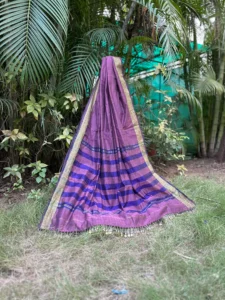 Purple Saree with Blue Striped Woven Border & Gold Detailing